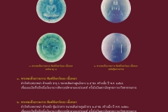 Amulet-wlps_026