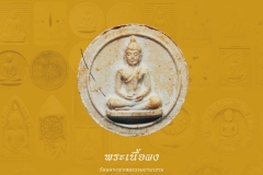 Amulet-wlps_030
