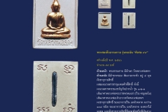 Amulet-wlps_046
