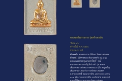 Amulet-wlps_047