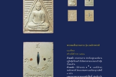 Amulet-wlps_052