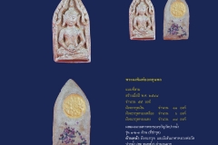 Amulet-wlps_064
