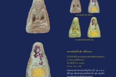 Amulet-wlps_065