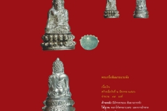 Amulet-wlps_085