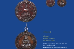 Amulet-wlps_113