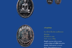 Amulet-wlps_124
