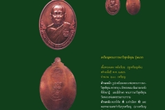 Amulet-wlps_138