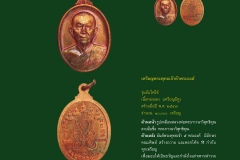 Amulet-wlps_151