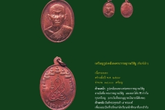 Amulet-wlps_154