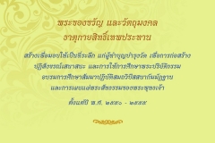 Amulet-wlps_170