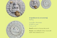 Amulet-wlps_172