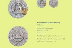 Amulet-wlps_174