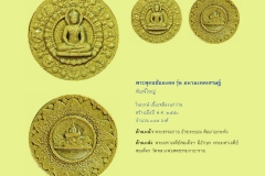 Amulet-wlps_176