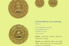 Amulet-wlps_189