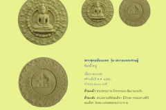 Amulet-wlps_208