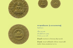 Amulet-wlps_210