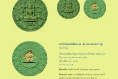 Amulet-wlps_220
