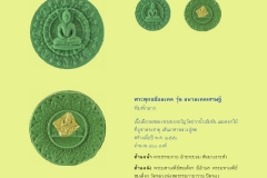 Amulet-wlps_221