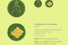 Amulet-wlps_223