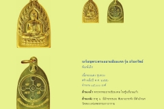Amulet-wlps_227