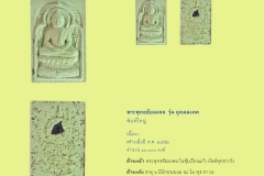 Amulet-wlps_230