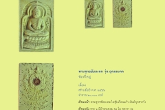 Amulet-wlps_231