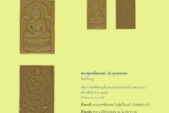 Amulet-wlps_232