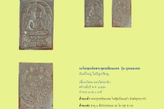 Amulet-wlps_237