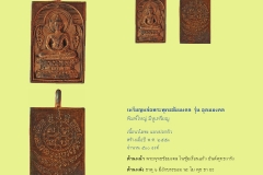 Amulet-wlps_241