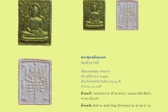 Amulet-wlps_254