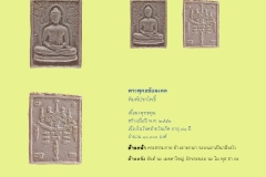 Amulet-wlps_255