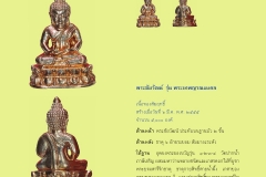 Amulet-wlps_259