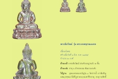 Amulet-wlps_262