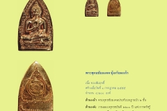 Amulet-wlps_273
