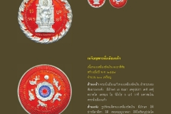 Amulet-wlps_294