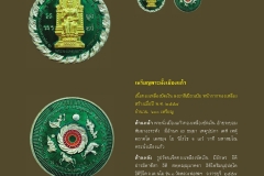 Amulet-wlps_297
