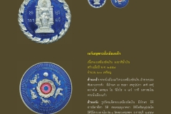 Amulet-wlps_298