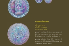 Amulet-wlps_303