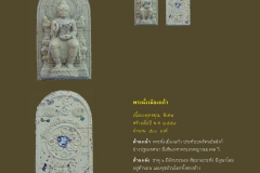 Amulet-wlps_308