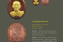 Amulet-wlps_374