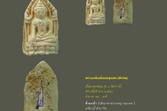 Amulet-wlps_387