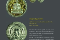 Amulet-wlps_396
