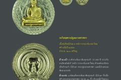 Amulet-wlps_398