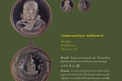 Amulet-wlps_423