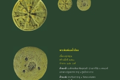 Amulet-wlps_435