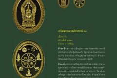 Amulet-wlps_441