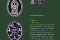 Amulet-wlps_442