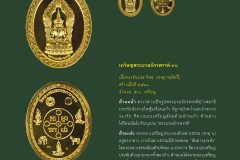 Amulet-wlps_445