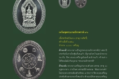 Amulet-wlps_446