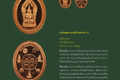 Amulet-wlps_447
